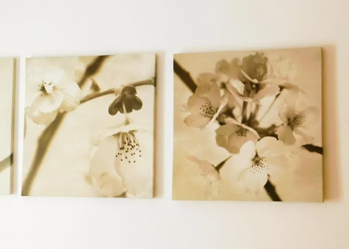 Vakantiehuis Atlantic