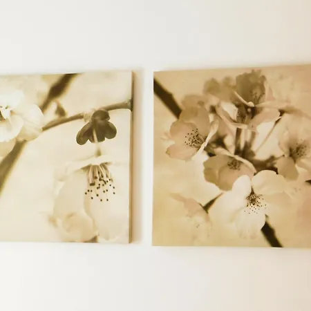 Casa de Férias Atlantic